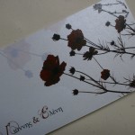 10262059_766093773422709_7212413065287612216_n