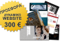 Κατασκευή Δυναμικής Ιστοσελίδας μόνο με 300 €